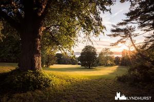 Lyndhurst Landscape Ramble 2019