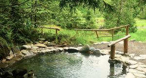 Awakening into the Sacred: Yoga & Meditation