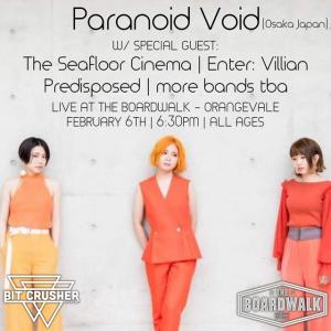 Paranoid Void