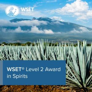 WSET Level 2 Spirits