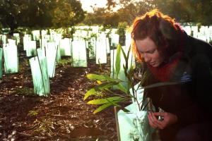 Rehabilitating Roe 8 Planting Event July
