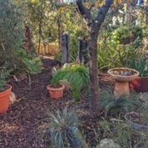 How to fix that backyard problem