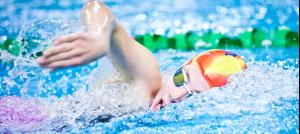 2019 NSW Senior State Short Course Championships