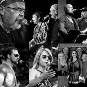 Helderberg Sunset Concerts / 5 Show Season Tickets