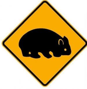 WOMBAT JUNCTION W/ THE RUNOUT
