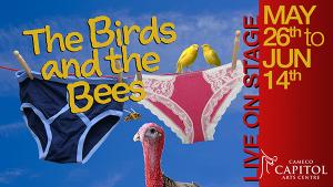 BIRDS AND BEES - Evening