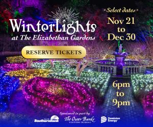 WinterLights 2025