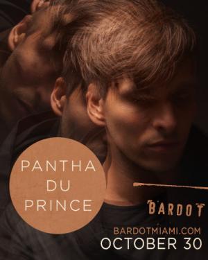 Pantha Du Prince