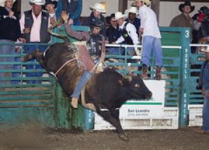Rockin Bull Bash