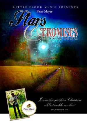 Peter Mayer, Stars & Promises 2013