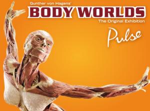 Body Worlds