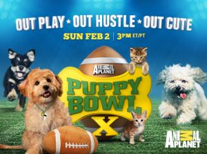 Animal Planet's PUPPY BOWL X