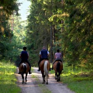 Gallop & Grill - Group A