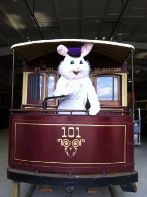 Bunny Trolley 2016