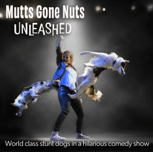 Mutts Gone Nuts - Unleashed!