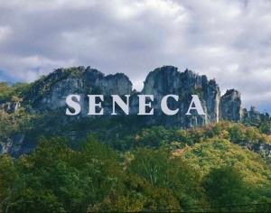 Seneca w/ Maximus and Dalcord