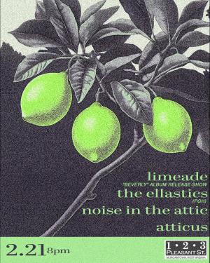 Limeade, The Elastics, Noise In The Attic, Atticus