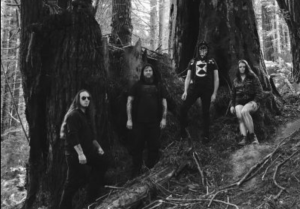 Suicide Forest, Crotaline, Phasm
