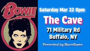 Bowie presented by Stoneflower