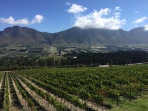 SOLD OUT! S. African Wine Safari: Cape South Coast