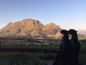 SOLD OUT! S. African Wine Safari: Stellenbosch