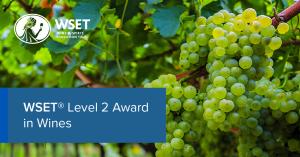 WSET Level 2 in Wine