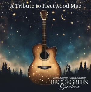 Fleetwood Mac Tribute Concert