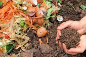 Composting, Bokashi and Your Garden with Amy Warne