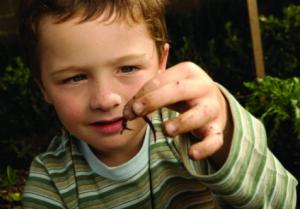 Kids Worm farming workshop - October 2025