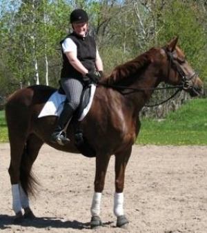 Dressage Clinic with Clinician Ashley Fudge