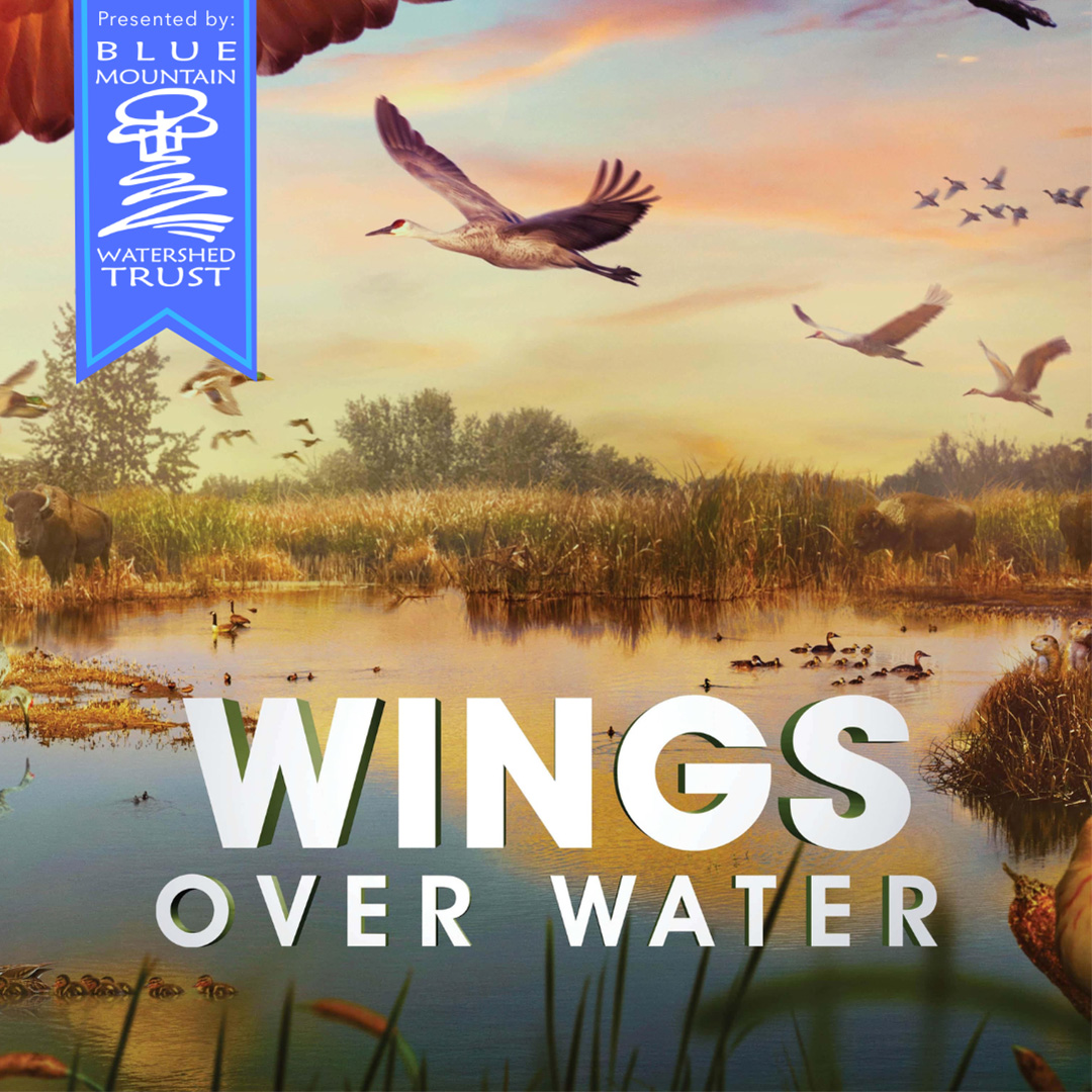Wings Over Water Fundraiser