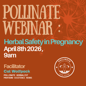 Webinar: Herbal Safety in Pregnancy w/ Cal