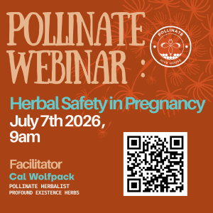 Webinar: Herbal Safety in Pregnancy w/ Cal