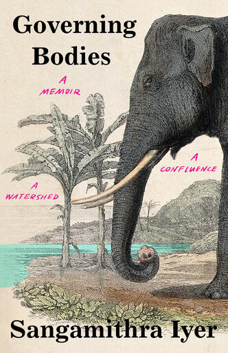 Book cover of Governing Bodies