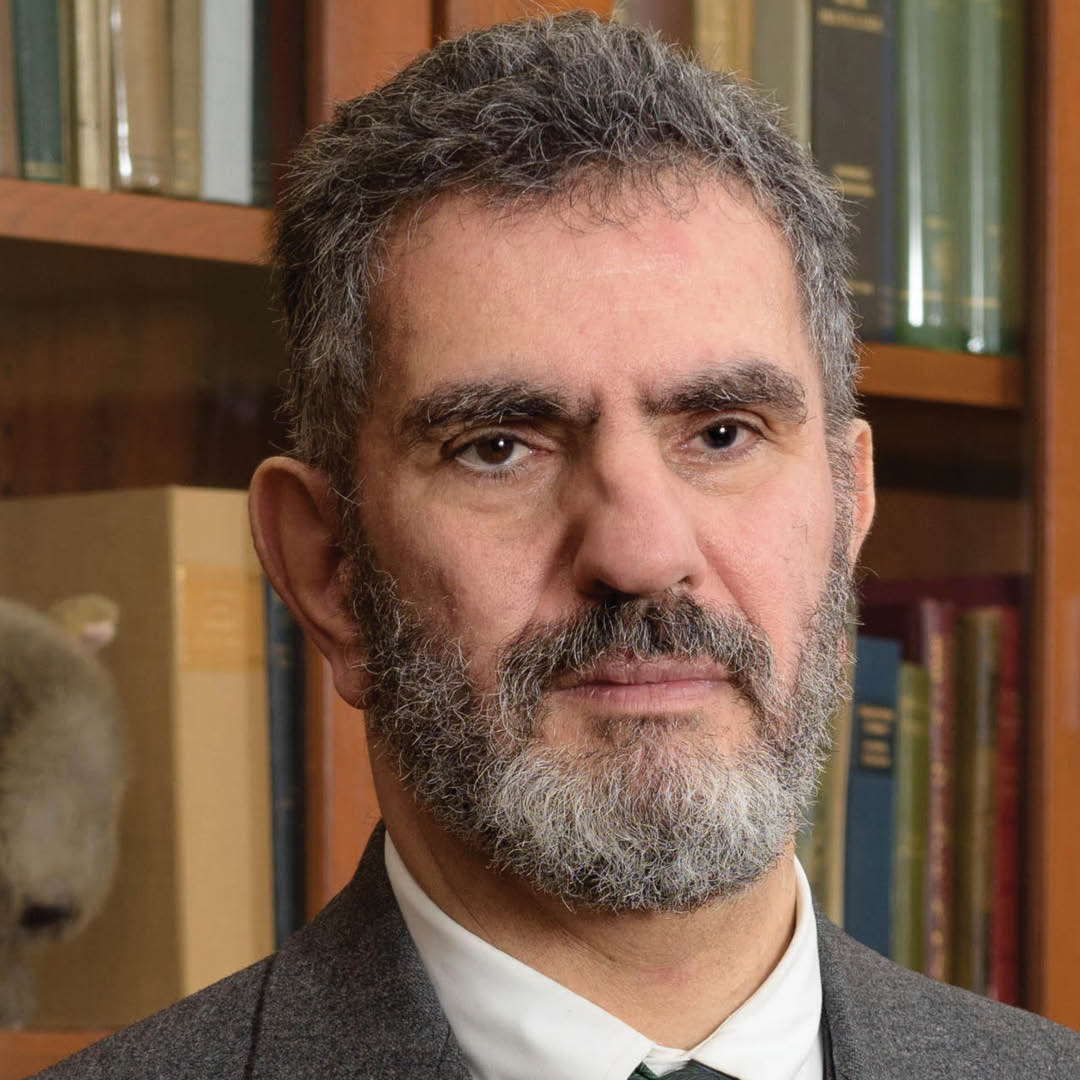 Mark Lasner headshot