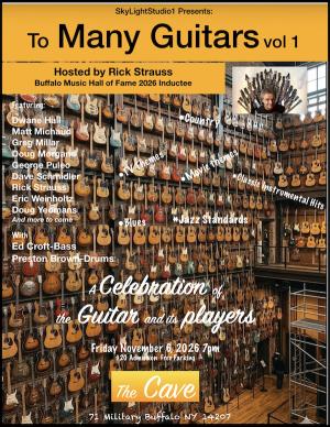 Too Many Guitars Vol. 1