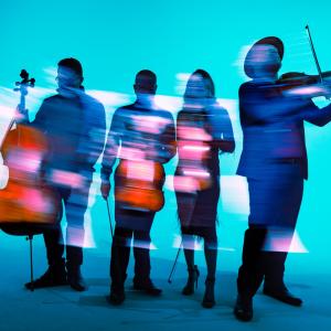 Vitamin String Quartet