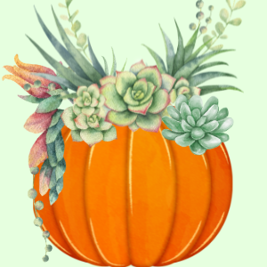 Succulent Pumpkin Centerpiece Workshop