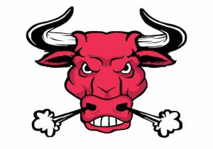 BULL RIDES