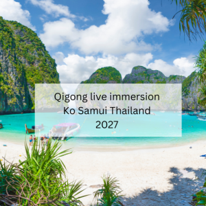 The Five Elements Qigong live immersion Thailand.