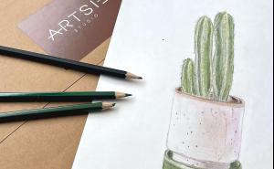 Discovery Session - Cacti and succulent drawing