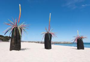 Discovery Outbound - Sculptures By the Sea 2026