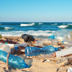 Clean Up Australia Day 2026 - Community Clean Up