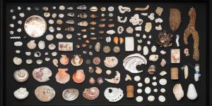 Make your own museum in a box | TRIBUTE workshop