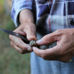 Toolmaking and Artefacts Workshop | NAIDOC 26