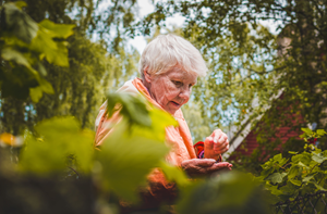 Community Session - Understanding Dementia Changes