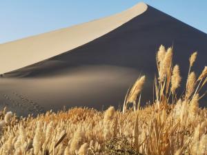 Discovery Session &ndash; The Silk Road
