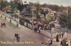 Discovery Session - Perth Zoo 125 Years