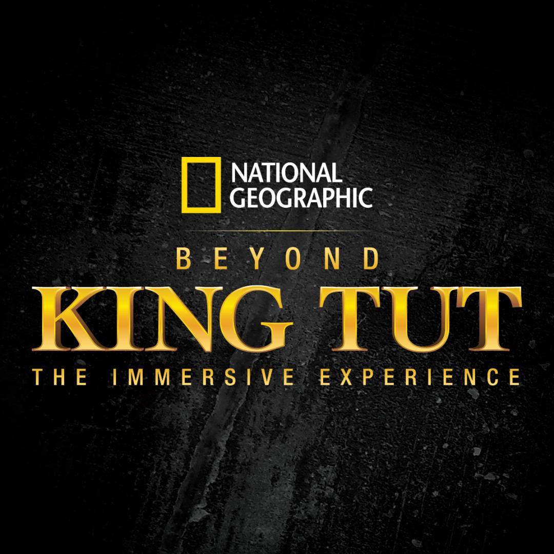 Start a Reservation intelligence overview