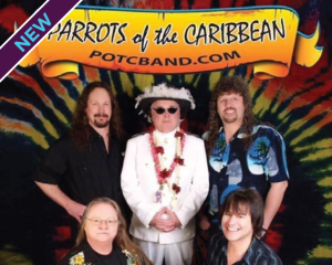PARROTS OF THE CARIBBEAN (JIMMY BUFFET TRIBUTE)